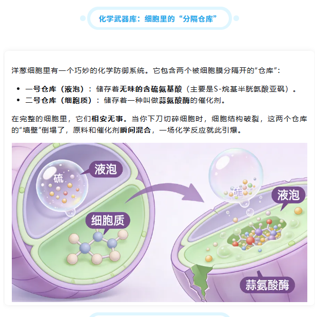 1772758954230441.png image.png