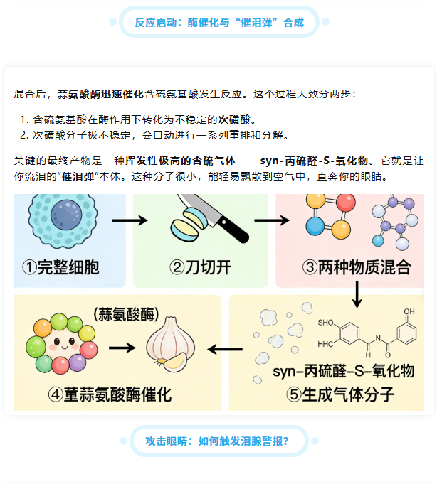 1772758965205042.png image.png