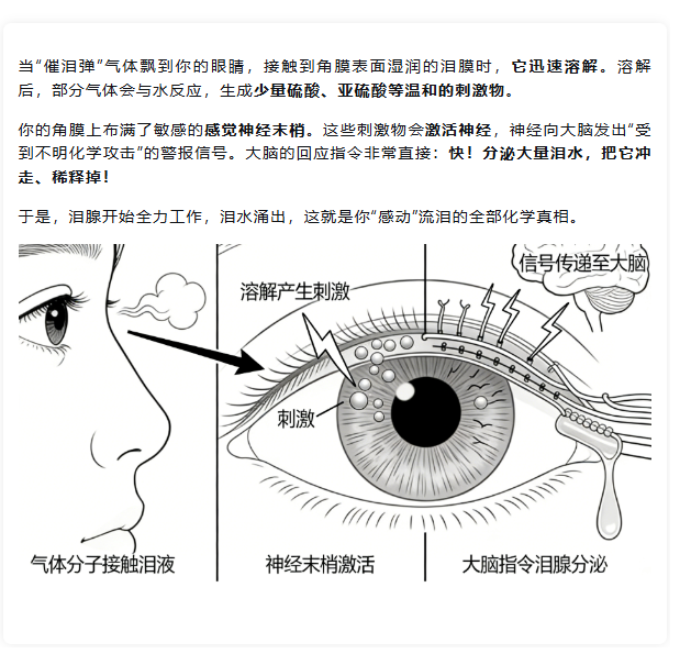 1772758984314364.png image.png