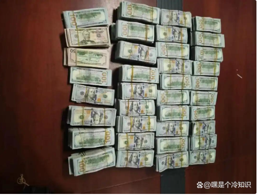 1773362699117607.png image.png