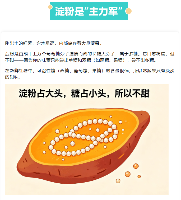 1783558057150931.png image.png