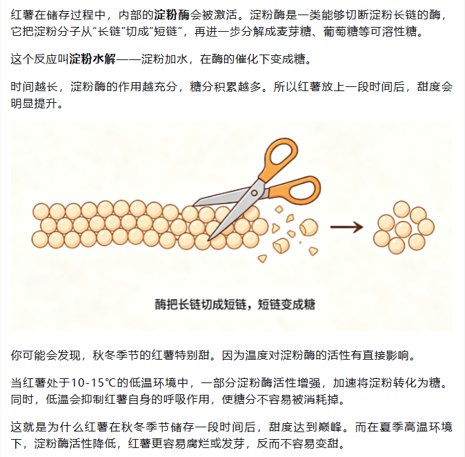 1783558072215902.png image.png
